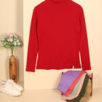 دورس ساده یقه اسکی استین بلند بوتیک پاپلی