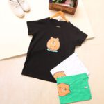 تیشرت پنبه براون بوتیک پاپلی